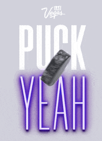 Ice Hockey Yes GIF by Las Vegas