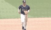 Super Regional Baseball GIF by NCAA Championships
