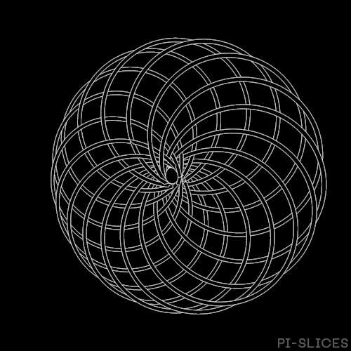 Black And White Loop GIF by Pi-Slices