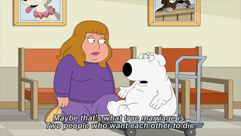marriage brian GIF by Family Guy