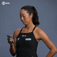 Phone Agree GIF by WTA