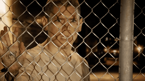 flee michael scofield GIF by Prison Break