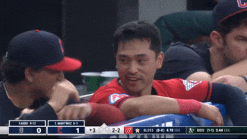 Sport Baseball GIF by MLB