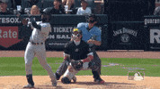 Regular Season Sport GIF by MLB