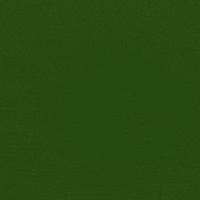 Pink What GIF by ArmyPink