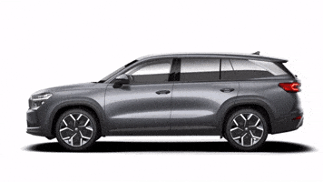 Kodiaq Graphite Grey GIF by Škoda Global