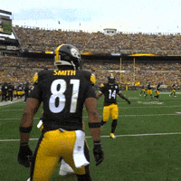 Football Celebration GIF by Pittsburgh Steelers