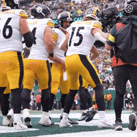 Touchdown Td GIF by Pittsburgh Steelers