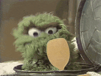 muppetwiki trash oscar sesame street groom GIF