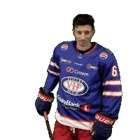 Oskar Sticker by VIF Hockey