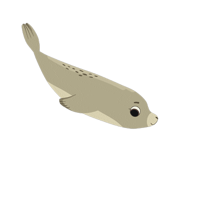 swim floating GIF by Puffin Rock