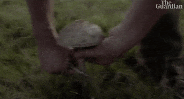 Off The Grid Community GIF by guardian