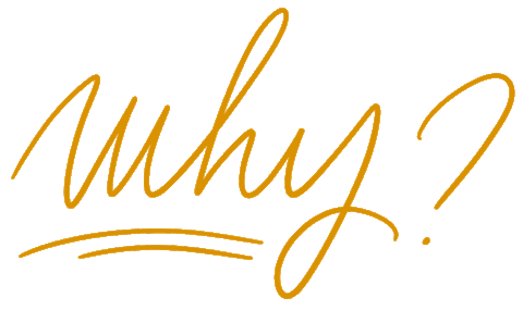 morganeperrot giphyupload text mood why Sticker