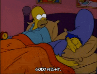 Season 1 GIF by The Simpsons