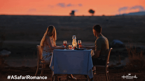 A Safari Romance GIF by Hallmark Channel