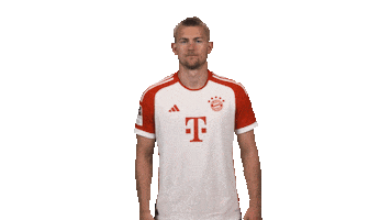 Waving Come On Sticker by Bundesliga