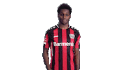 Bayer 04 Hello Sticker by Bundesliga