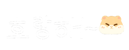 세븐틴 Carat Sticker