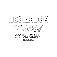 Velloziaoficial recebidos pagos vellozia Sticker