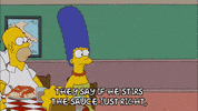 homer simpson episode 10 GIF