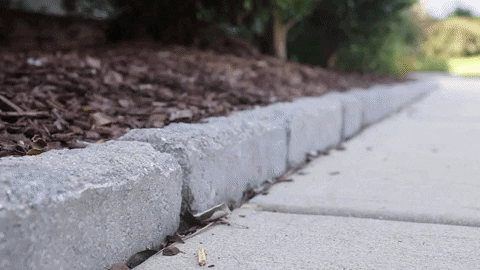 lakeishaethans giphyupload outdoor inspirations via youtube GIF