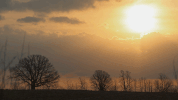 nat geo GIF by Nat Geo Wild 