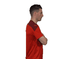 Fabian Schar Switzerland Sticker by Swiss Football Association