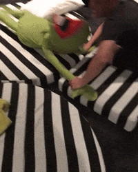 Kermit The Frog Wwe GIF