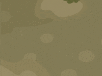 Run Lizard GIF by Studycat