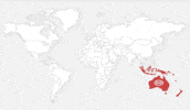 hugozbor worldwide 99clover 99clvr 99clover worldwide GIF