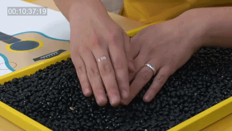 GIF by Super Simple