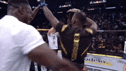 Mixed Martial Arts Sport GIF by UFC