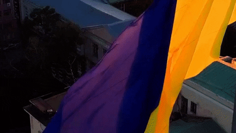 yaroslavastrutsynska giphygifmaker GIF