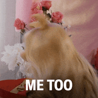 The Muppets Diva GIF by ABC Network