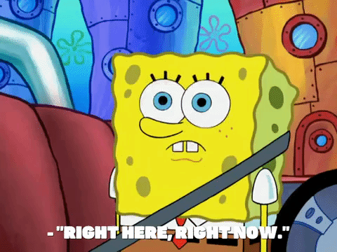 season 8 GIF by SpongeBob SquarePants
