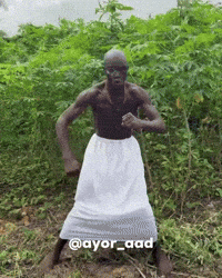 Ayoraad GIF