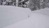 Truckee Residents Snowboard Down Street Following Heavy Snowfall