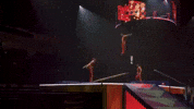 Flip Trick GIF by Ringling Bros. and Barnum & Bailey