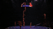 Flip Circus GIF by Ringling Bros. and Barnum & Bailey