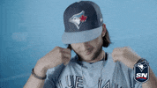 Major League Baseball Mlb GIF by Sportsnet