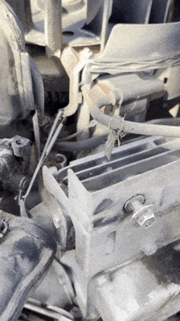 Its Working What GIF