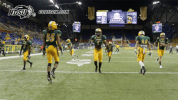 north dakota state football GIF by NDSU Athletics