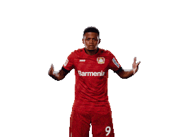 Lets Go Bailey Sticker by Bayer 04 Leverkusen