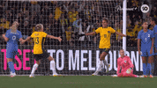 Sport Celebrate GIF by Football Australia