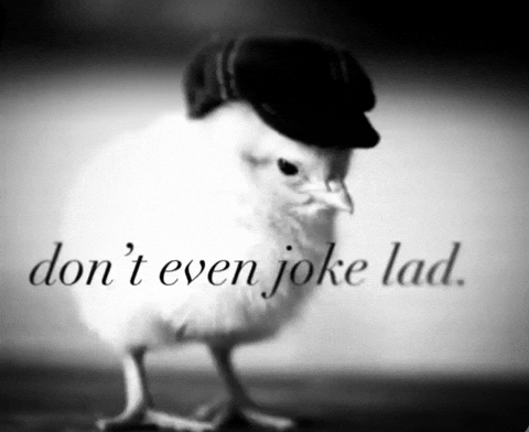 Chicken Joke GIF
