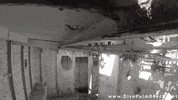 go pro flood GIF by Digg