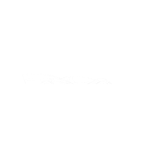 Rodin-Cars giphygifmaker rodin cars rodin fzero Sticker
