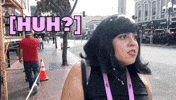 What The Hell Wtf GIF