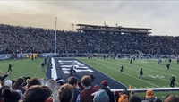Fossil Fuel Protesters Storm Field at Harvard-Yale Game in New Haven