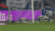 Football Falling GIF by FC Schalke 04